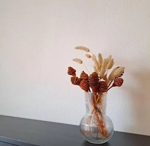 Apartment U Centra Ceske Budejovice