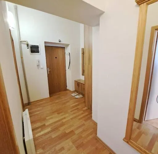 Apartment U Centra *