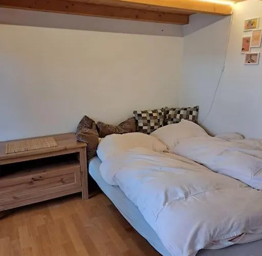 Apartment U Centra Budweis