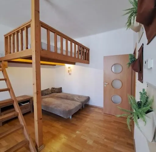 Apartment U Centra *